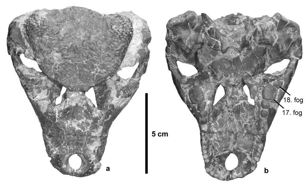 MTA Régészeti Intézet - Archeogenetikai Laboratórium